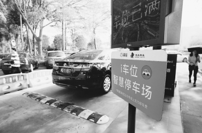 厦门智慧城市树典范