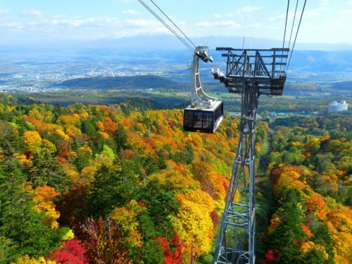 日本北海道富良野全面接入微信生态 打造智慧生态旅游城市样板